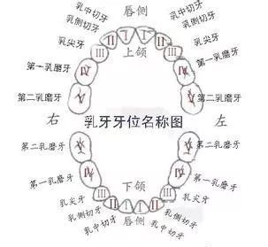 同樣係睇牙，價格差距究竟差係邊？