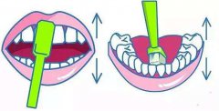 愛牙日：教你如何正確刷牙